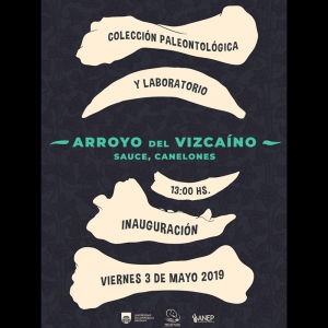 Nuevo laboratorio y repositorio de la colección paleontológica Arroyo del Vizcaíno