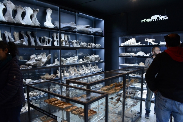 Museo Paleontológico Armando Calcaterra