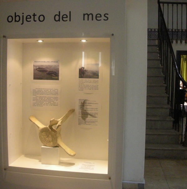 Museo de Ciencias Naturales