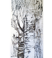 2011_bosque_panel