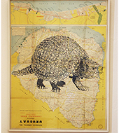 Glyptodon_7web