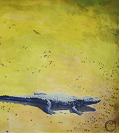yacare-caiman