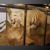 Día Internacional de los Museos