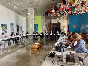 Reuni&oacute;n del Consejo Intergubernamental de Ibermuseos