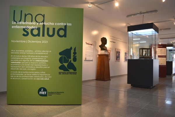 Museo Veterinario