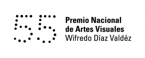 55&ordm; Premio Nacional de Artes Visuales en el MNAV. Inaugura el Sal&oacute;n Nacional. Jueves 15 de Noviembre, 19:00 hs.