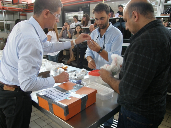 Ph.D. N&eacute;stor Gonz&aacute;lez (Universidad Clemson, EUA) y Arque&oacute;logos Alejo Cordero y Valerio Buffa (CPCN, Uruguay) durante las actividades pr&aacute;cticas centradas en la conservaci&oacute;n de materiales saturados en agua.