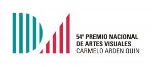 Mi&eacute;rcoles 15/8, 19hs. Presentaci&oacute;n del cat&aacute;logo del 54&ordm; premio Nacional de Artes Visuales
