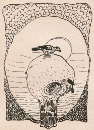 Material de divulgaci&oacute;n de la exposici&oacute;n del Museo Figari