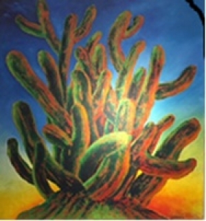 Cactus al atardecer