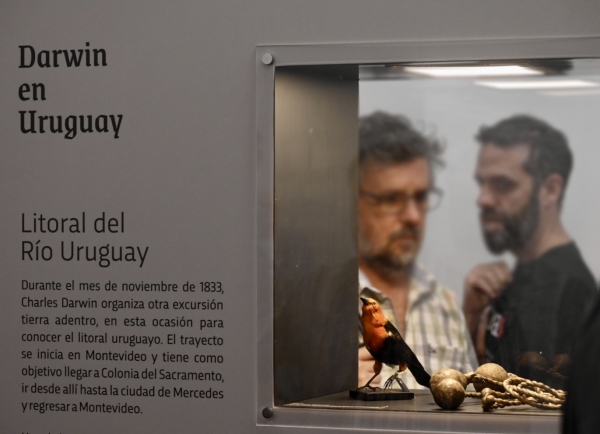 Consideraciones museol&oacute;gicas de la exposici&oacute;n Darwin estuvo aqu&iacute;