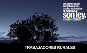 Ciclo de cine sobre derechos de trabajadores rurales. Museo de Bellas Artes de San Jos&eacute;.