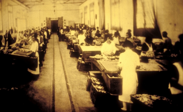 Obreras fabriles, a&ntilde;o 1890