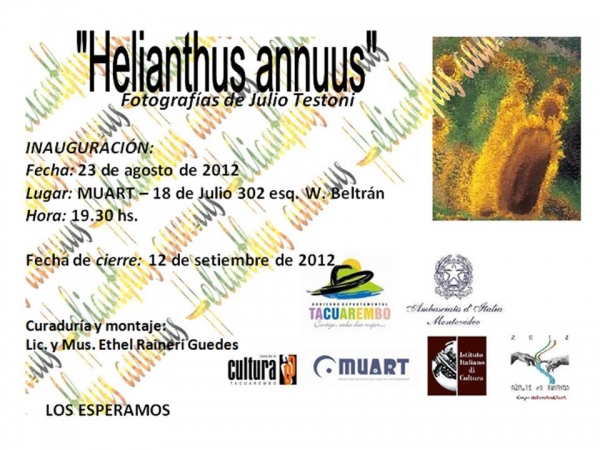 Jueves 23 de agosto inaugura 'Helianthus Annus' de Julio Testoni en el MUART de Tacuaremb&oacute;